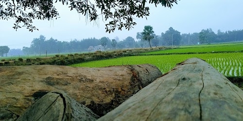 Deasa
