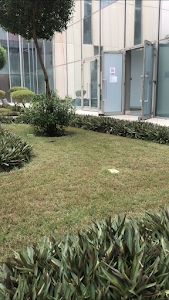 College of Nursing