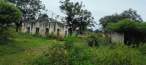 Masinagudi