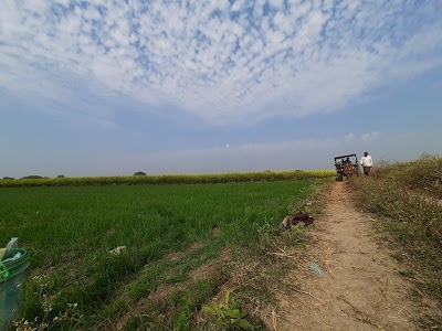 Bhojya Kheri