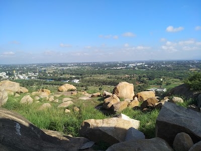 Chikkajala