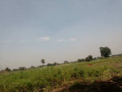 Tirumalapur
