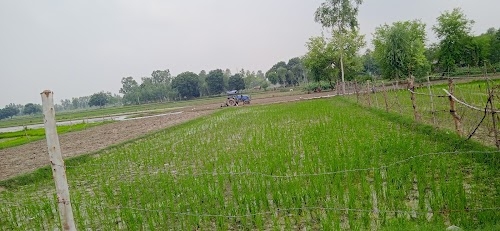 Kumharawan