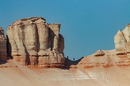 Hofuf Oasis