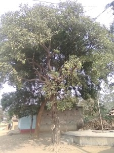 Hari Mandir