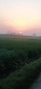 Jakheta
