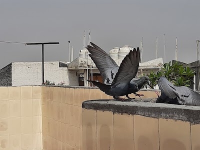DLF Dilshad Extention II, Dilshad Plaza, Shalimar Garden