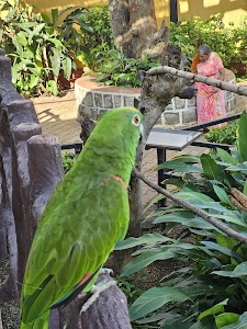 Fundera park - Birds park