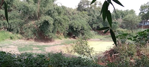 Gosandepur Uparwar