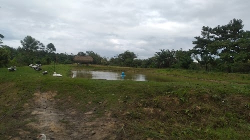 Puerto Pacu