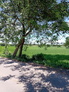 Vidyanagar