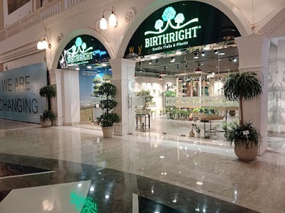 BB-GREATER NOIDA-GRAND VENICE MALL