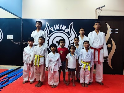 Viking Karate Club