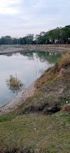 Pohumara Sapori