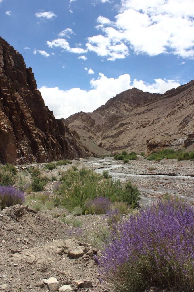 Hemis National Park
