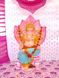 Gopal.bag.નૈપ