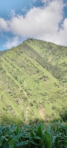 Siyara