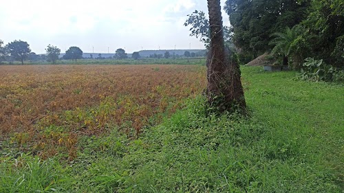 Dehariyasahu