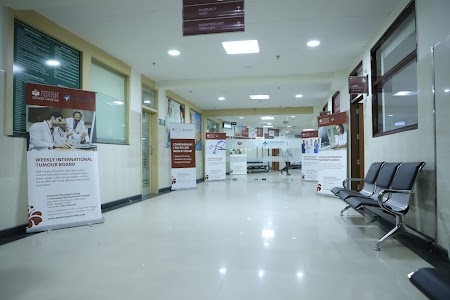American Oncology Institute - Hisar