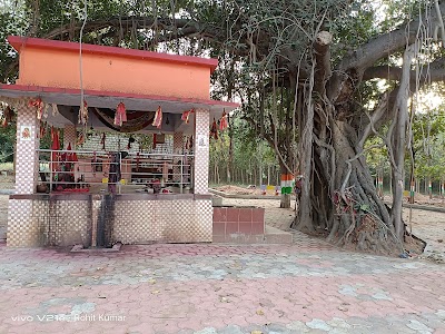 Purihapat Temple,Similipal