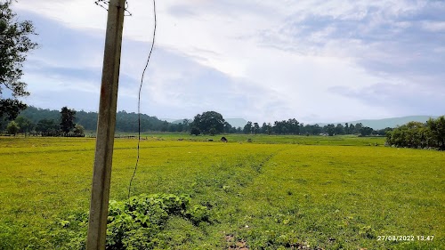 Pahargaon