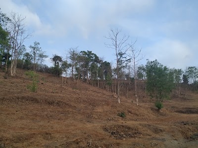 Sakhare