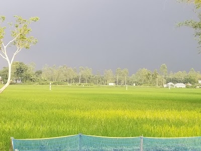 Gangachara