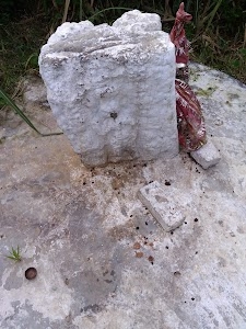 Patthar Wali Mata