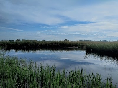 Songara