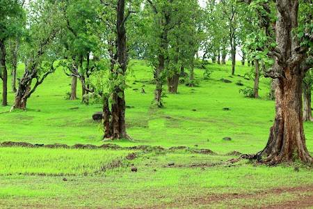 Diwan Tembrun