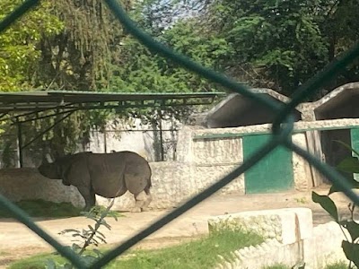 Zoo