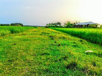 Golapganj Upazila