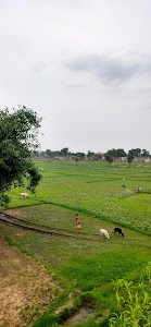 Langura Khurd