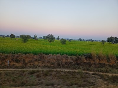 Bandikui Jageer rural