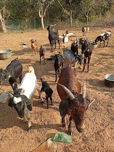 BITU FARMHOUSE