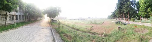 Cricket Play Ground