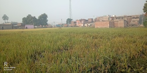 Milky Mandir