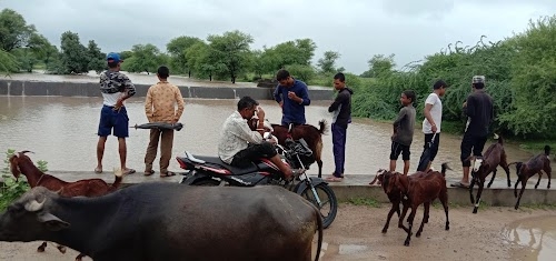 समाधि स्थल नाथ समाज gahalpur