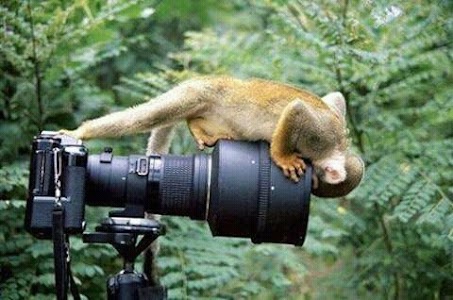 Photo studio