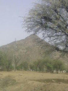 Jodhpura
