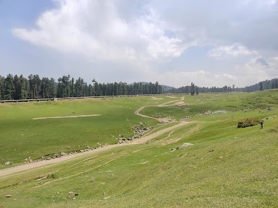 Forest Block