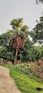 Chandaraha