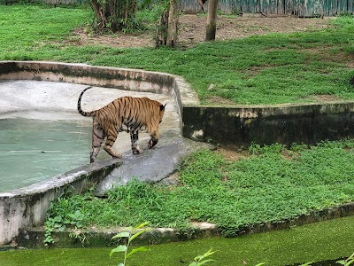 Chidiyaghar