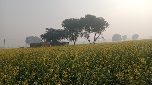 Burj Atival