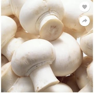 RADHE KRISHNA MUSHROOM FARM