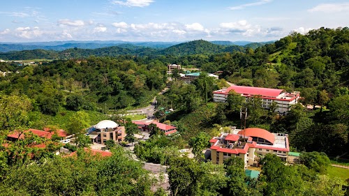 Assam Don Bosco University
