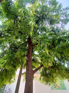 Adawal