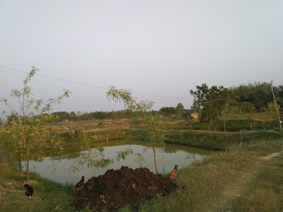 Anand Agriculture Farm