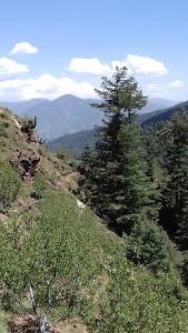 Nankhari