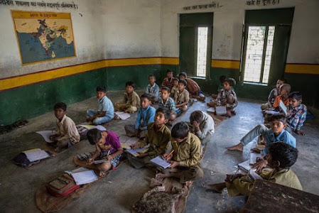 प्राथमिक विद्यालय,धनौरी